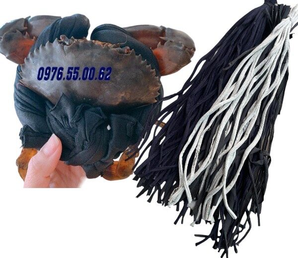 z5366409173781_db758eeef7530c50c92eadfee8477f4a